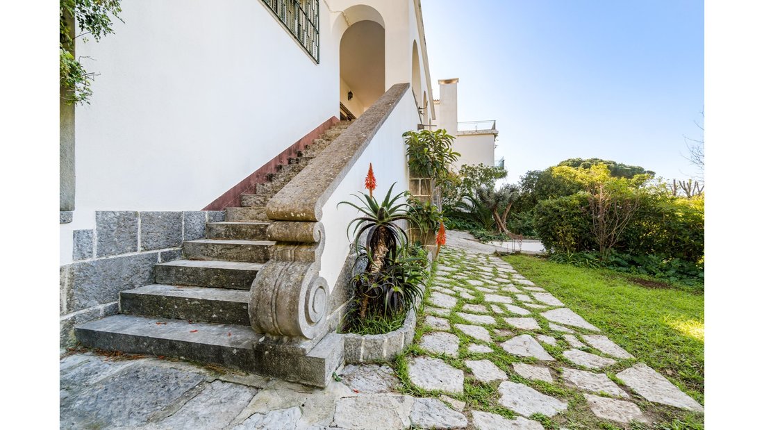 Farm Ranch in Cascais, Portugal 3 - 15155088