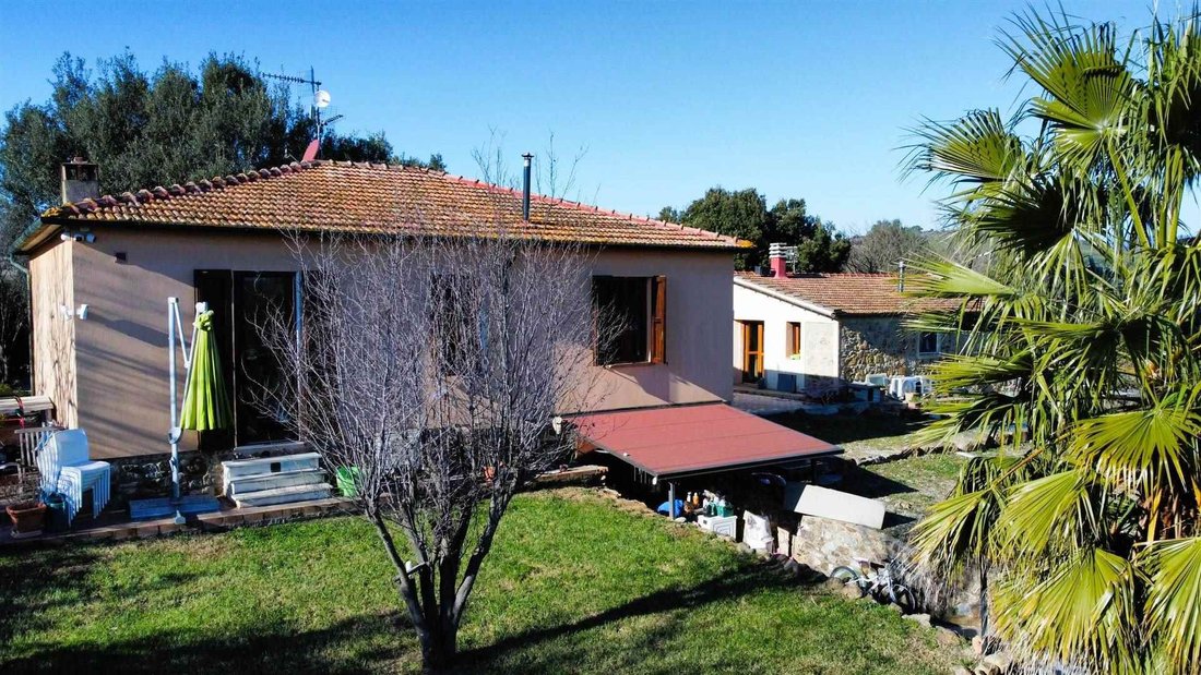 Estate in Ribolla, Tuscany, Italy 5 - 15154583