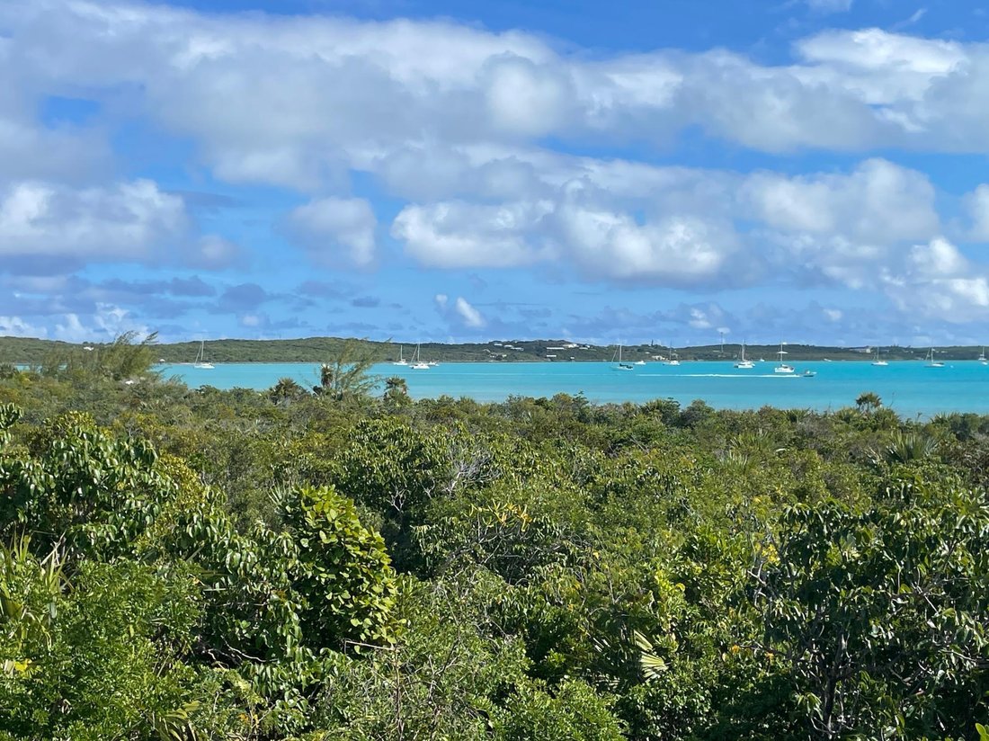 Maison à McKann's Settlement, Long Island, Bahamas 5 - 15158839
