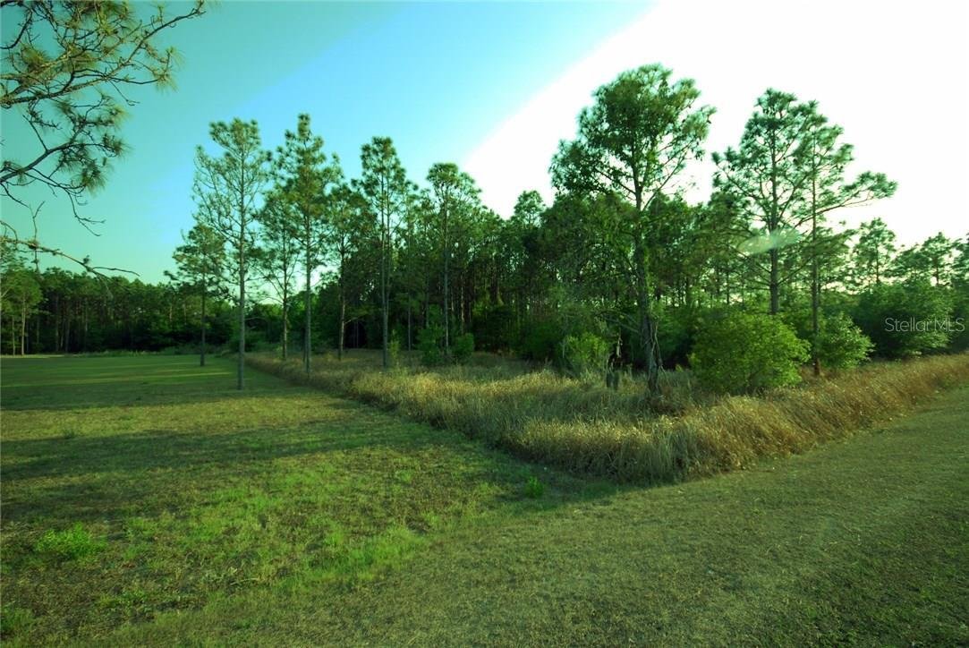 Land in WESLEY CHAPEL, FL, United States 4 - 14634262