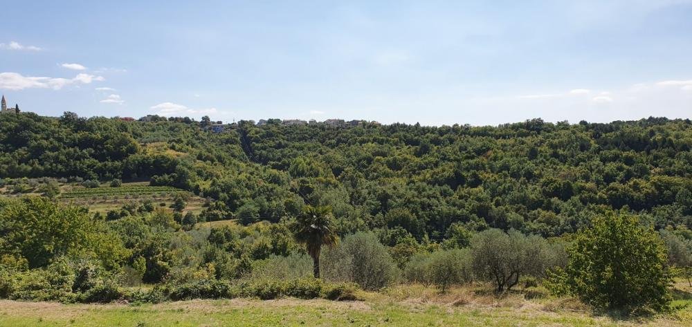 Villa à Momjan, Istrie, Croatie 5 - 11779361
