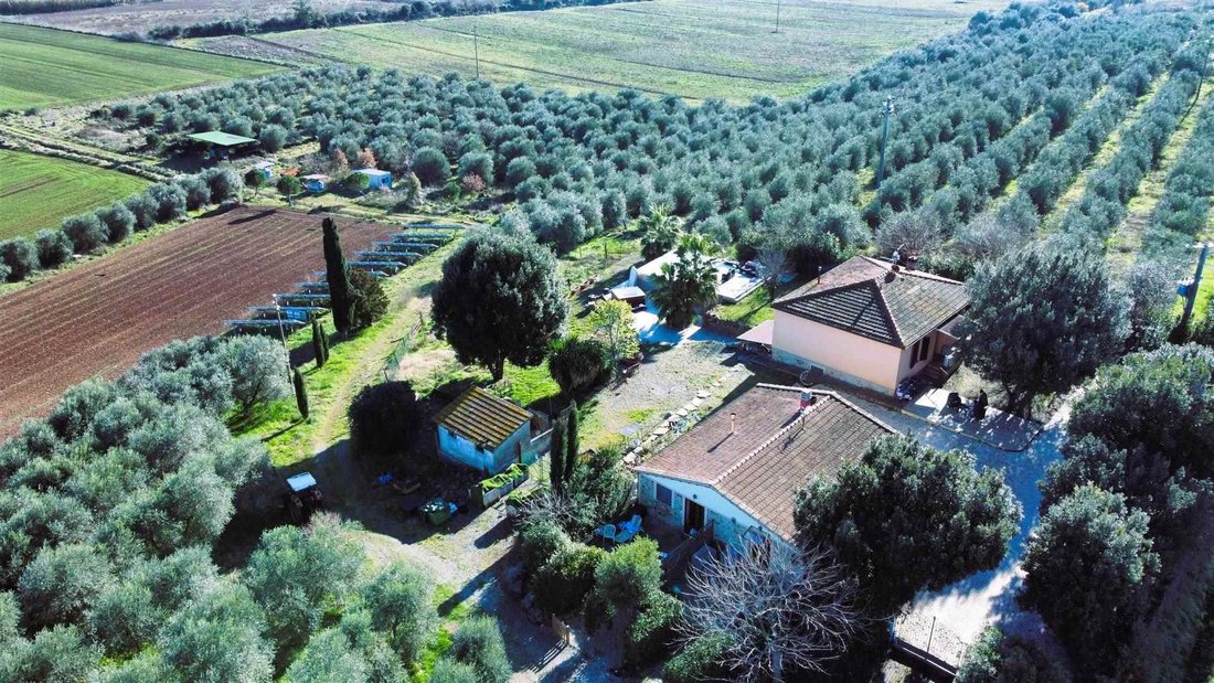 Estate in Ribolla, Tuscany, Italy 4 - 15154583