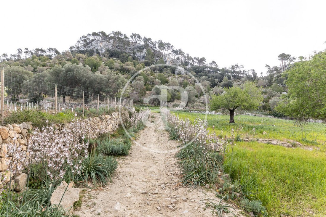Villa in Esporles, Balearic Islands, Spain 2 - 15158452