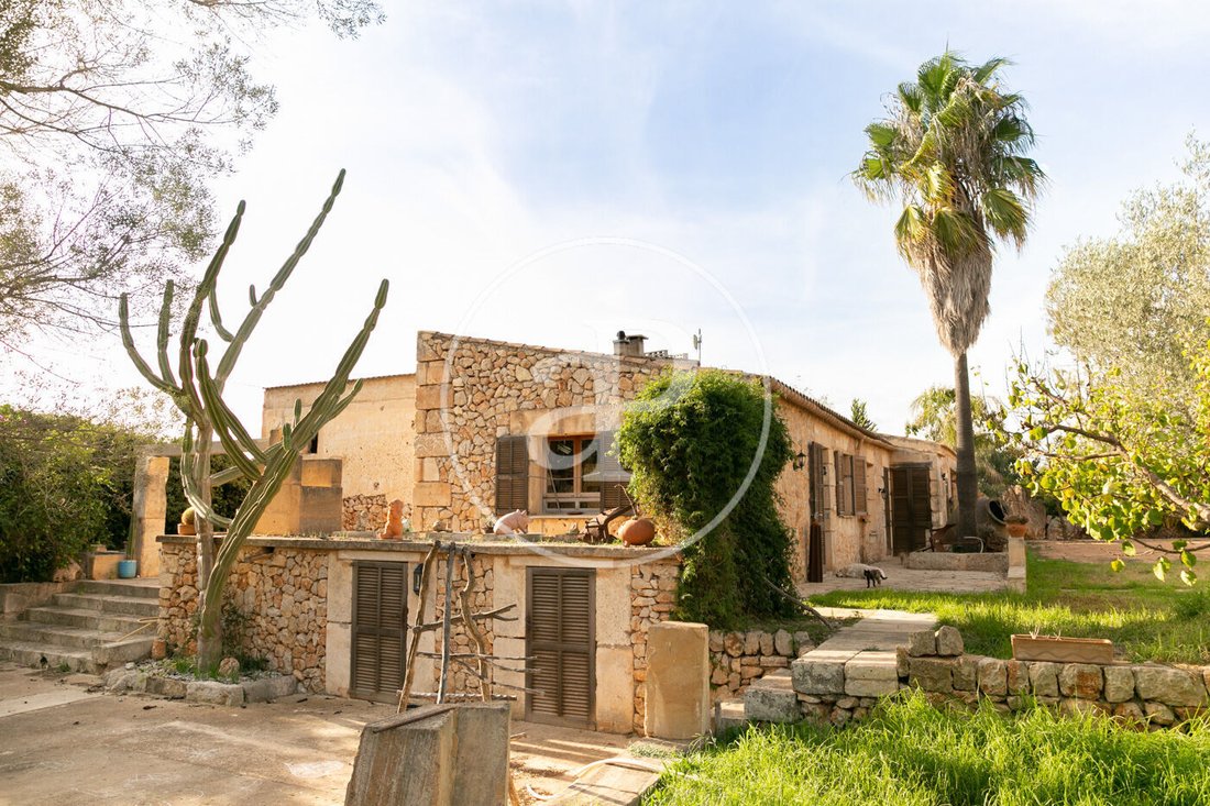 Villa in Manacor, Balearic Islands, Spain 1 - 15158345