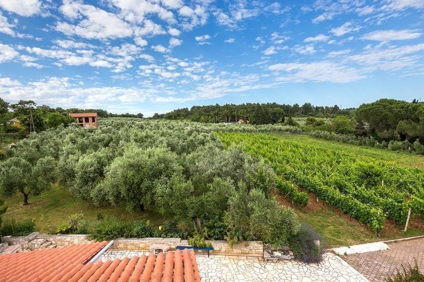 Villa in Medulin, Istria County, Croatia 2 - 12937087