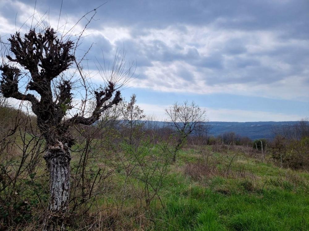 Villa in Labin, Istria County, Croatia 5 - 12742327