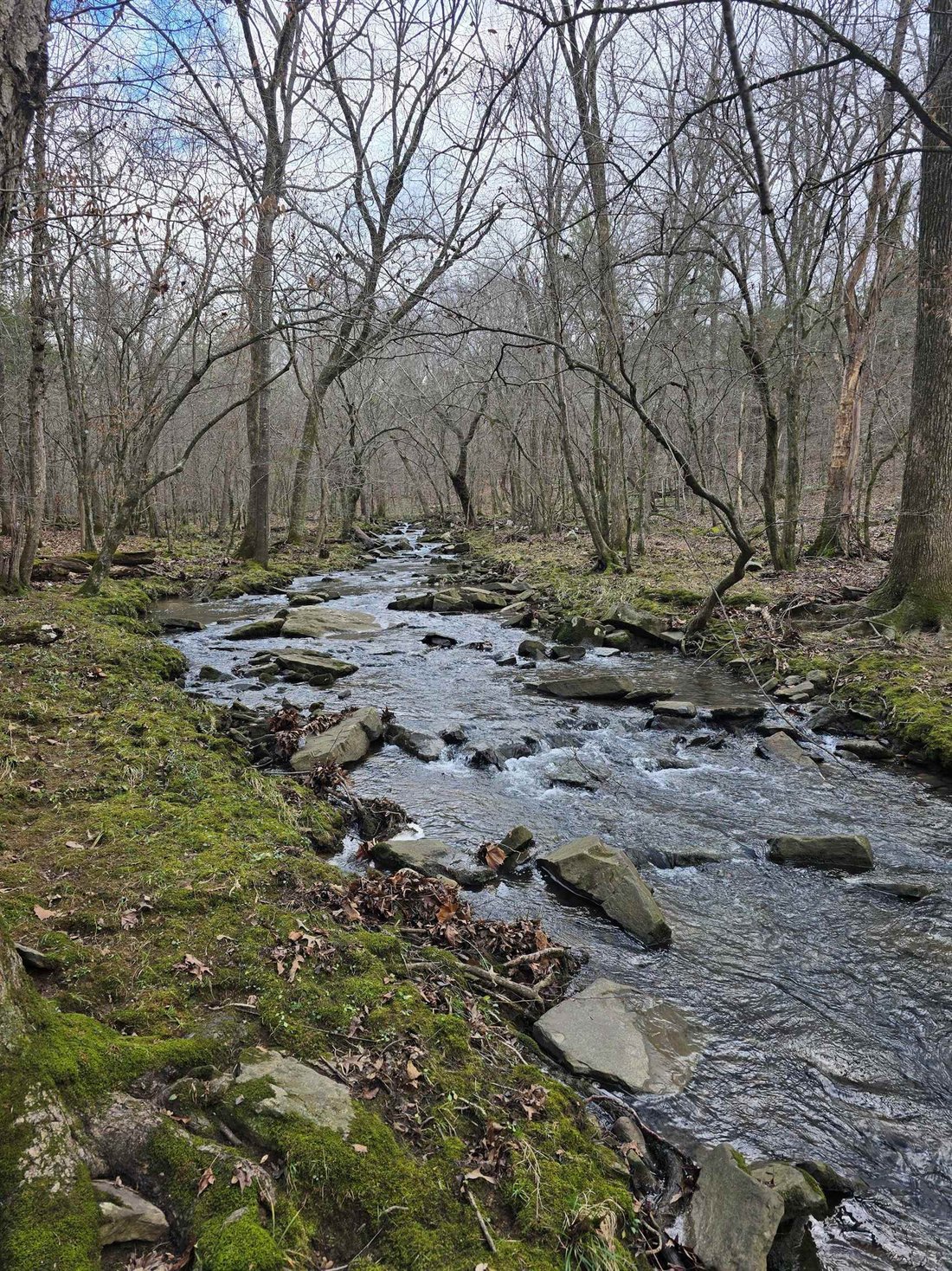 Land in Southside, Arkansas, United States 3 - 15156211