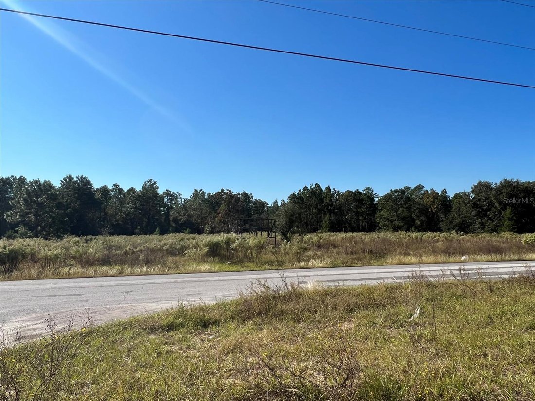 Terrain à Spring Hill, Floride, États-Unis 4 - 14636241