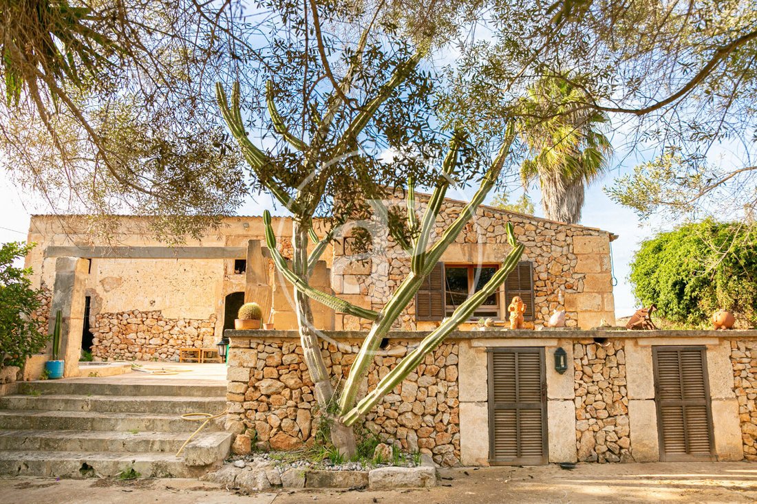 Villa in Manacor, Balearic Islands, Spain 3 - 15158345