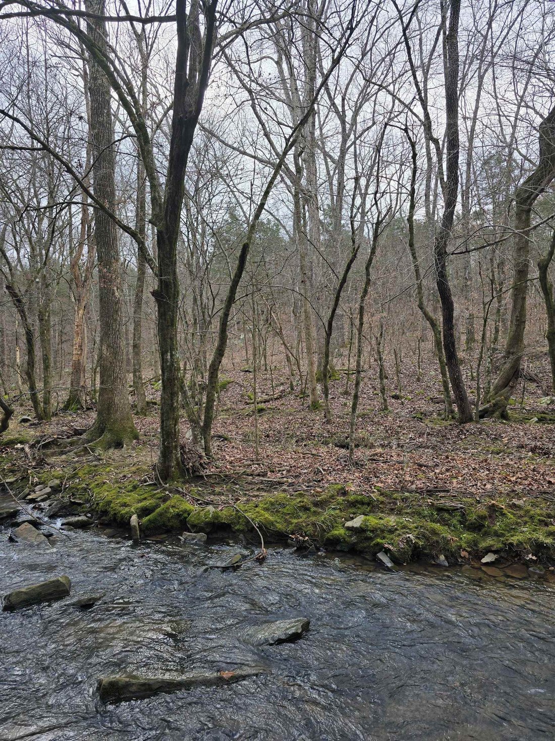 Land in Southside, Arkansas, United States 4 - 15156211