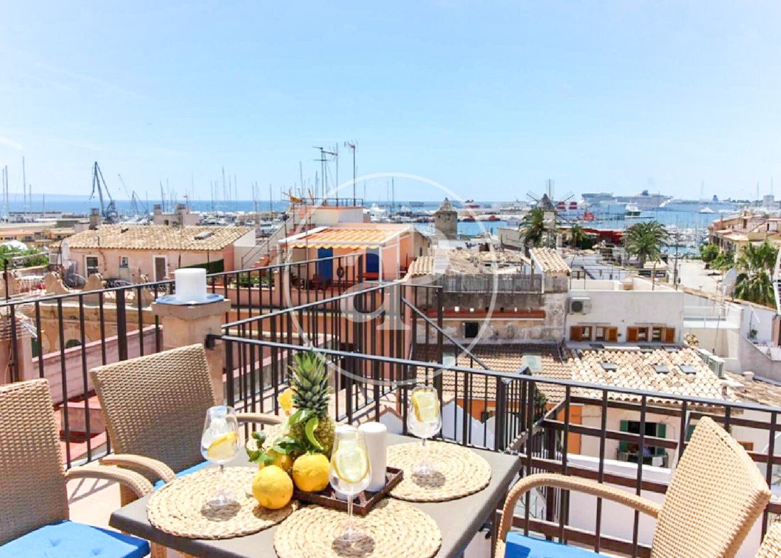 Apartment in Palma, Balearic Islands, Spain 1 - 15158458
