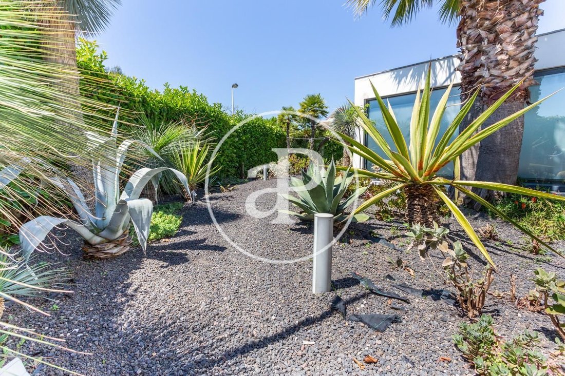 Villa in Alfinac, Pucol, Valencian Community 4 - 15158333