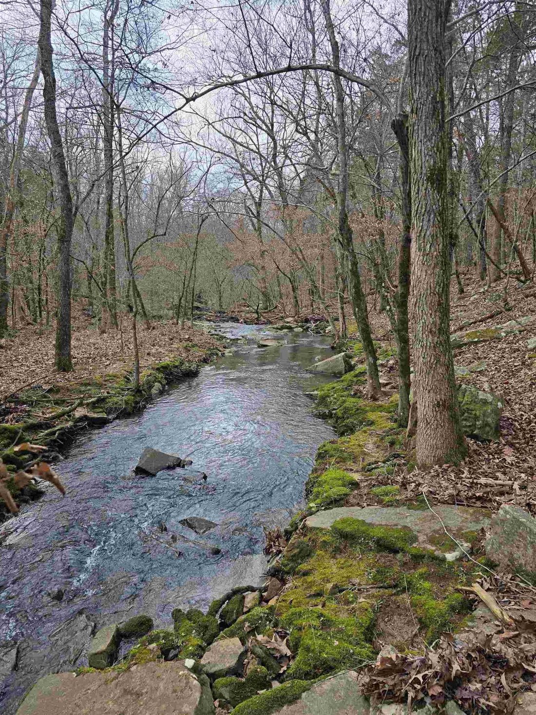 Land in Southside, Arkansas, United States 2 - 15156211