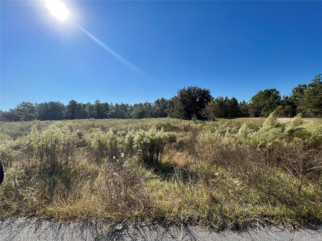 Terrain à Spring Hill, Floride, États-Unis 5 - 14636241