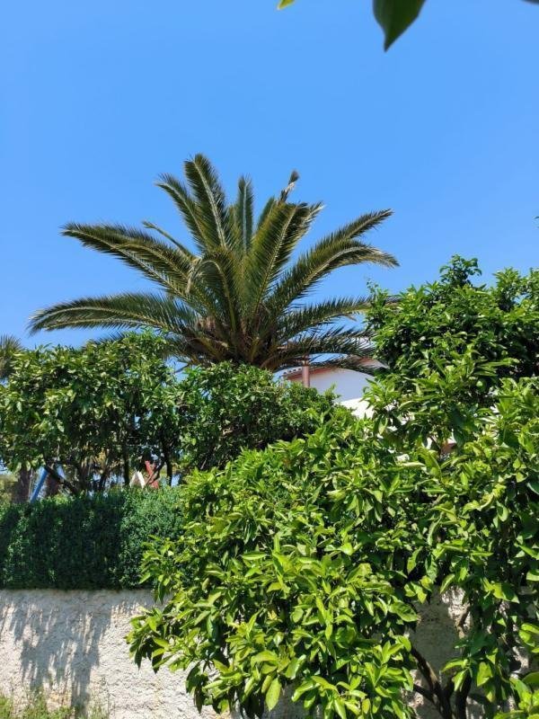 Villa in Medulin, Istria County, Croatia 5 - 12937087