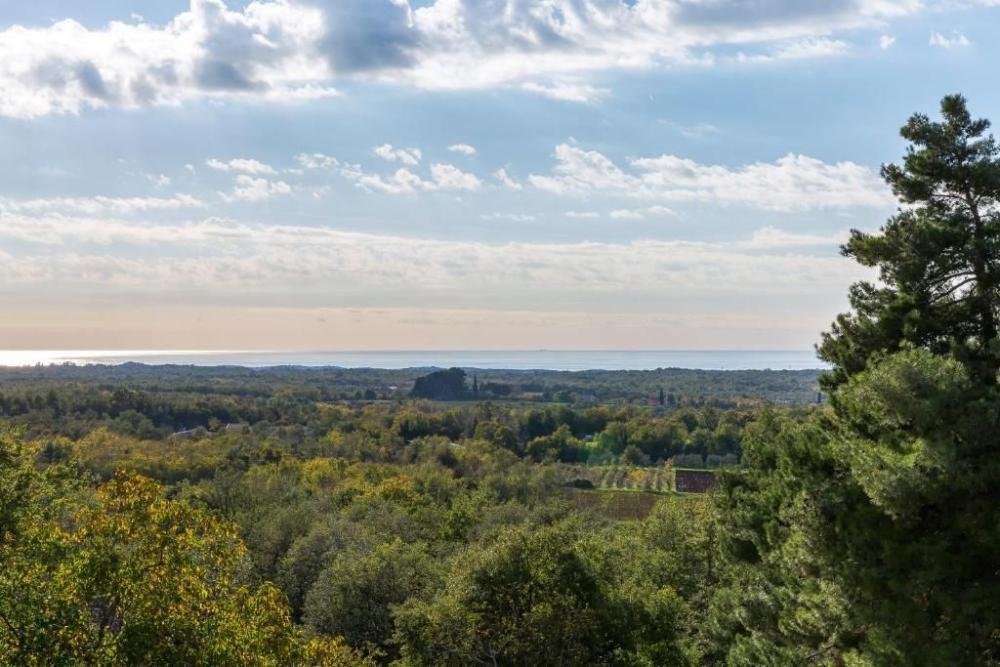 Villa in Višnjan, Istria County, Croatia 3 - 13296080