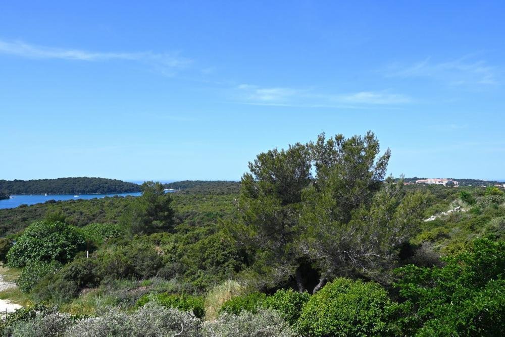 Villa in Vinkuran, Istria County, Croatia 4 - 11982960