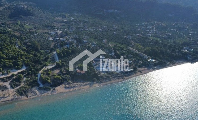 Land in Basilikou, Peloponnese, Western Greece and the Ionian, Greece 4 - 15156524