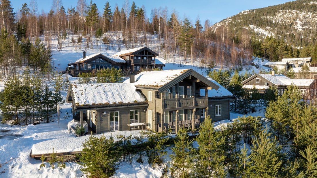 Country House in Treungen, Vestfold og Telemark, Norway 2 - 15172220