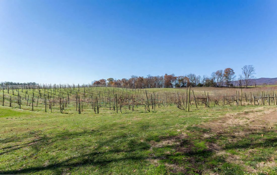 Farm Ranch in Maurertown, Virginia, United States 3 - 15161711