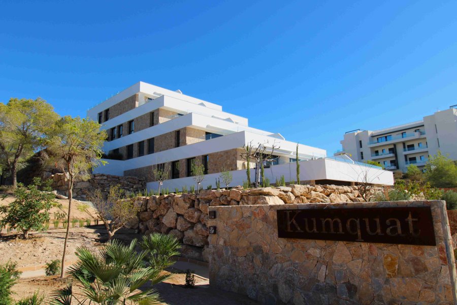 Apartment in Orihuela, Valencian Community, Spain 1 - 15161989