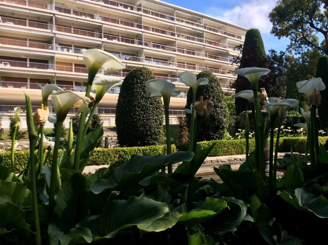 Apartment in La Californie, Cannes, France 4 - 12158917