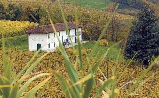 Farm Ranch in Santo Stefano Belbo, Piedmont, Italy 1