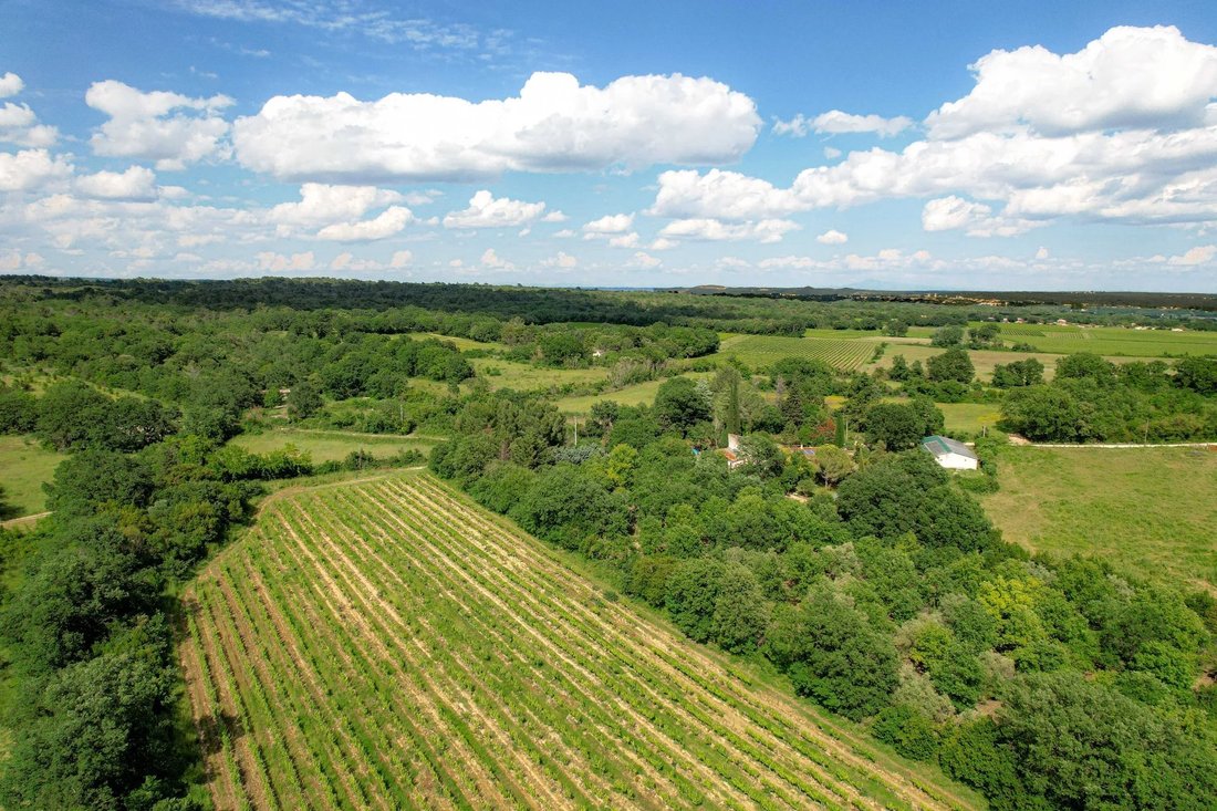 Estate in Arpaillargues-et-Aureilhac, Occitania, France 3 - 14462059