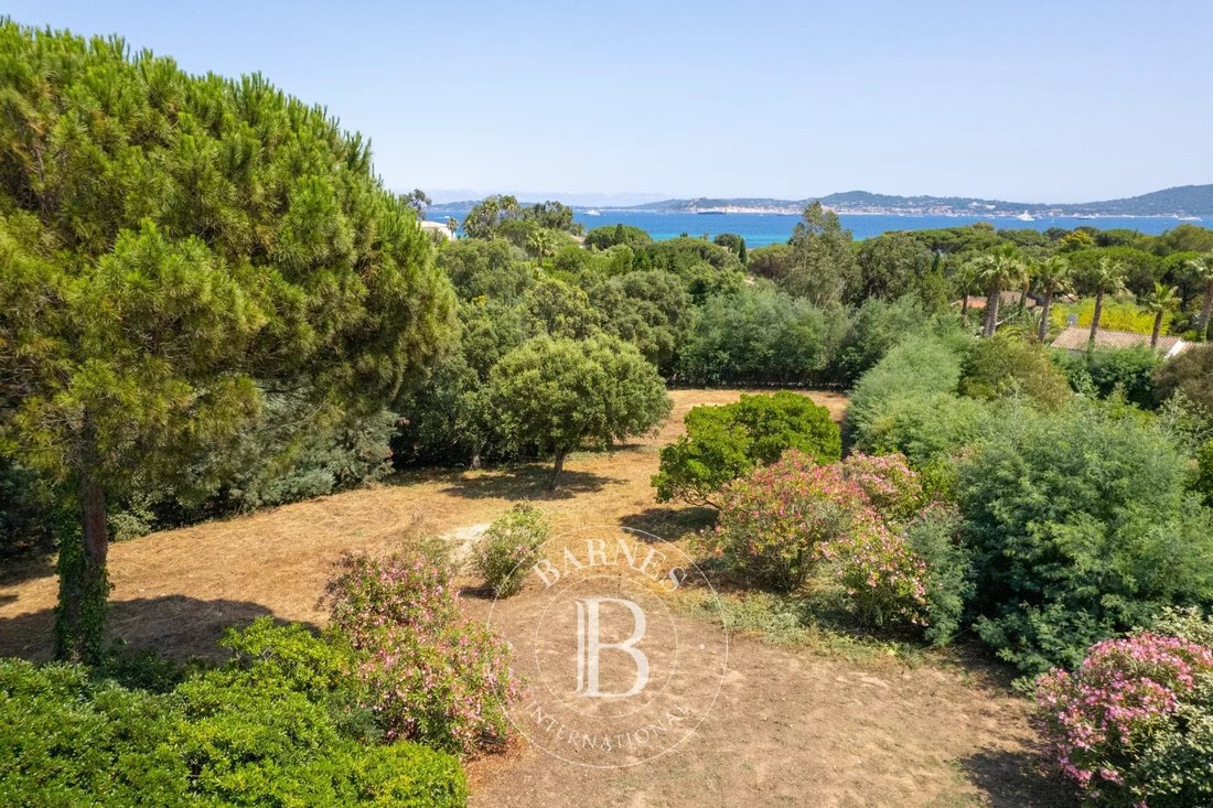 Land in Grimaud, Provence-Alpes-Côte d'Azur, France 2 - 14491162