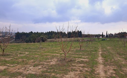 Terreno a Epanomi, Decentralized Administration of Macedonia and Thrace, Grecia 1