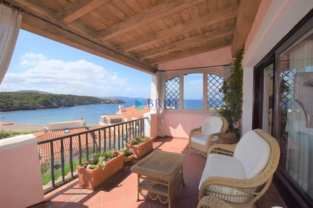 Apartment in Cala Granu - Cala del Faro, Arzachena, Italy 1 - 13631141