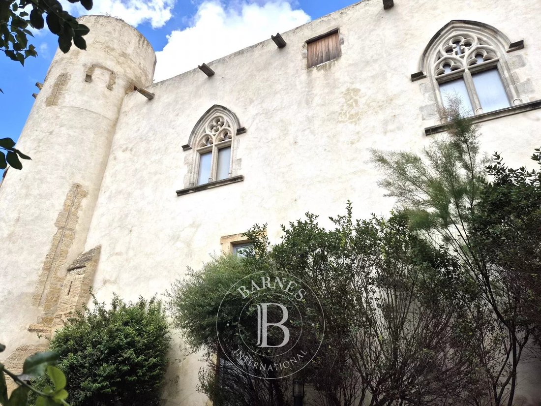 Castle in Mezel, Mur-sur-Allier, France 1 - 14374531