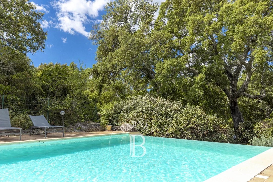 Villa in Sainte-Lucie-de-Porto-Vecchio, Corsica, France 2 - 13896466