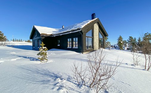 Country House in Nissedal, Telemark, Norway 1