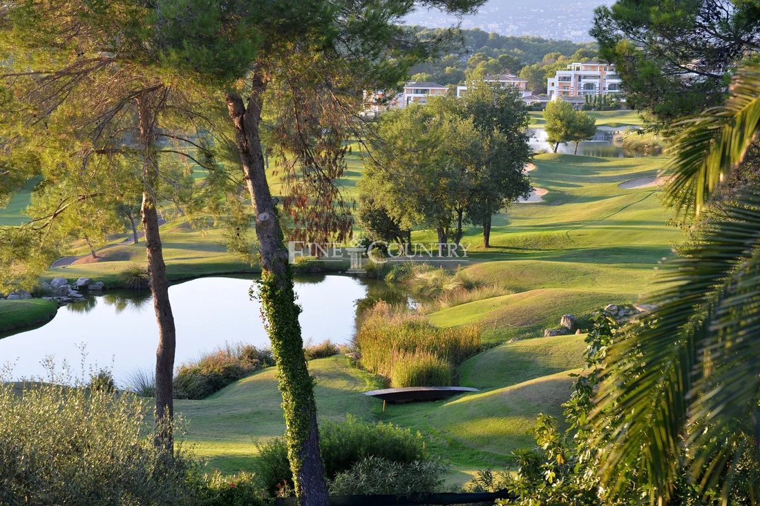 Villa in Mougins, Provence-Alpes-Côte d'Azur, France 3 - 13326604