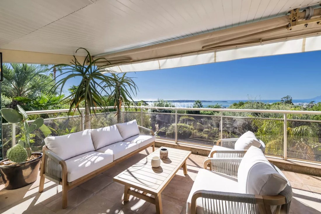 Villa in La Californie, Cannes, France 3 - 14896931