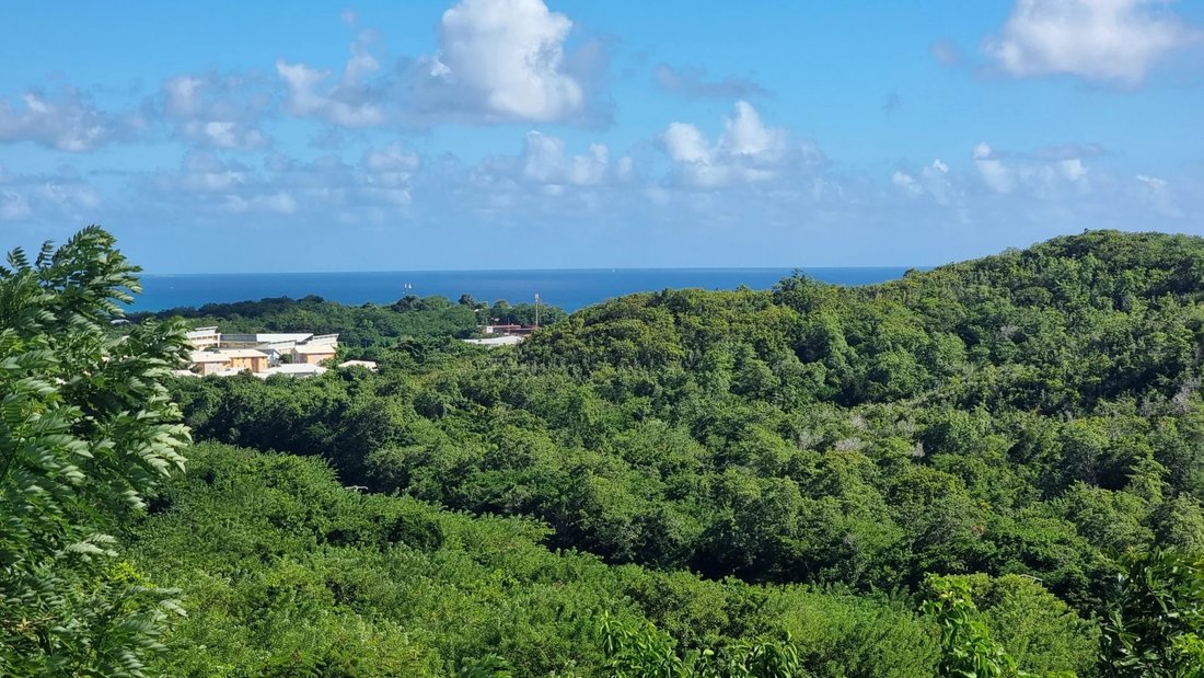 Villa in Le Diamant, Le Marin, Martinique 4 - 13602736