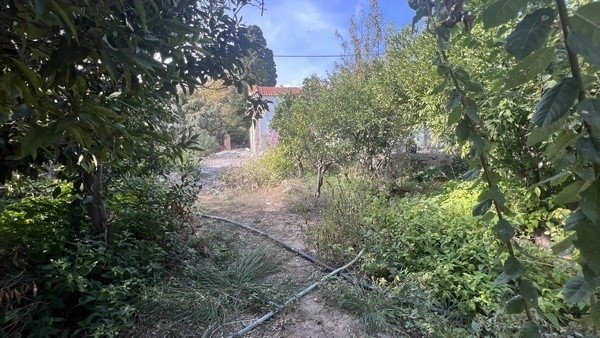 Land in Chios, Aegean, Greece 5 - 15171118