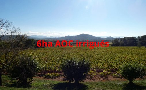 Farm Ranch in Taradeau, Provence-Alpes-Côte d'Azur, France 1