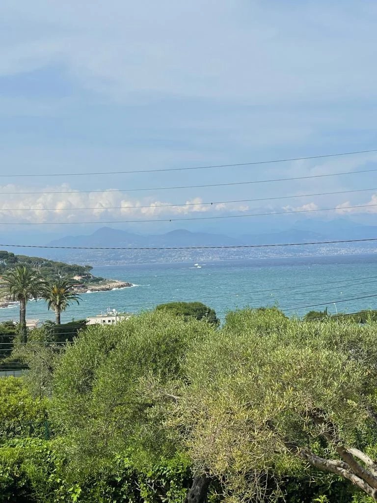 Villa in Antibes, Provence-Alpes-Côte d'Azur, France 4 - 11616193