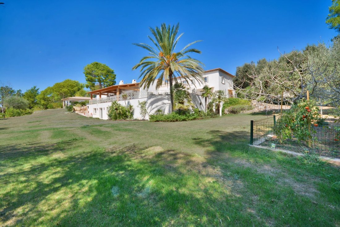 Villa in Bois Fleuri-Chevre d'Or-Saint Philippe, Biot, France 5 - 13252508