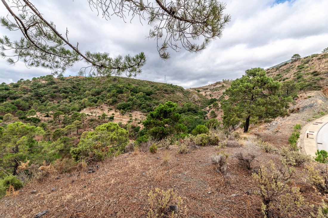 Land in La Zagaleta, Benahavis, Andalusia 3 - 15172026