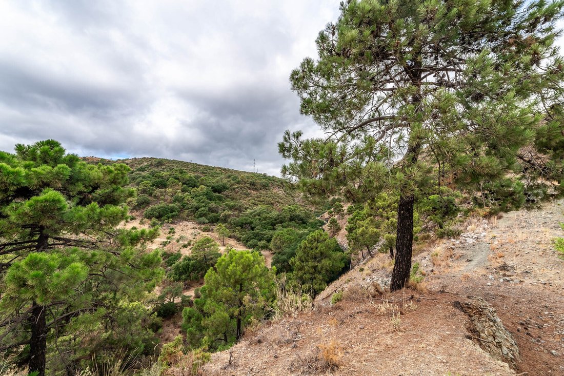 Land in La Zagaleta, Benahavis, Andalusia 5 - 15172024