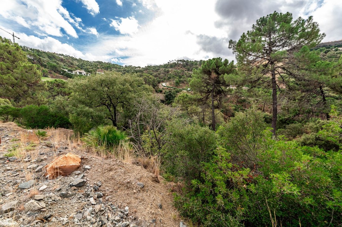 Land in La Zagaleta, Benahavis, Andalusia 3 - 15172024