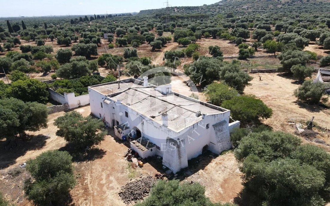 Villa in Selva di Fasano, Apulia, Italy 4 - 14168401