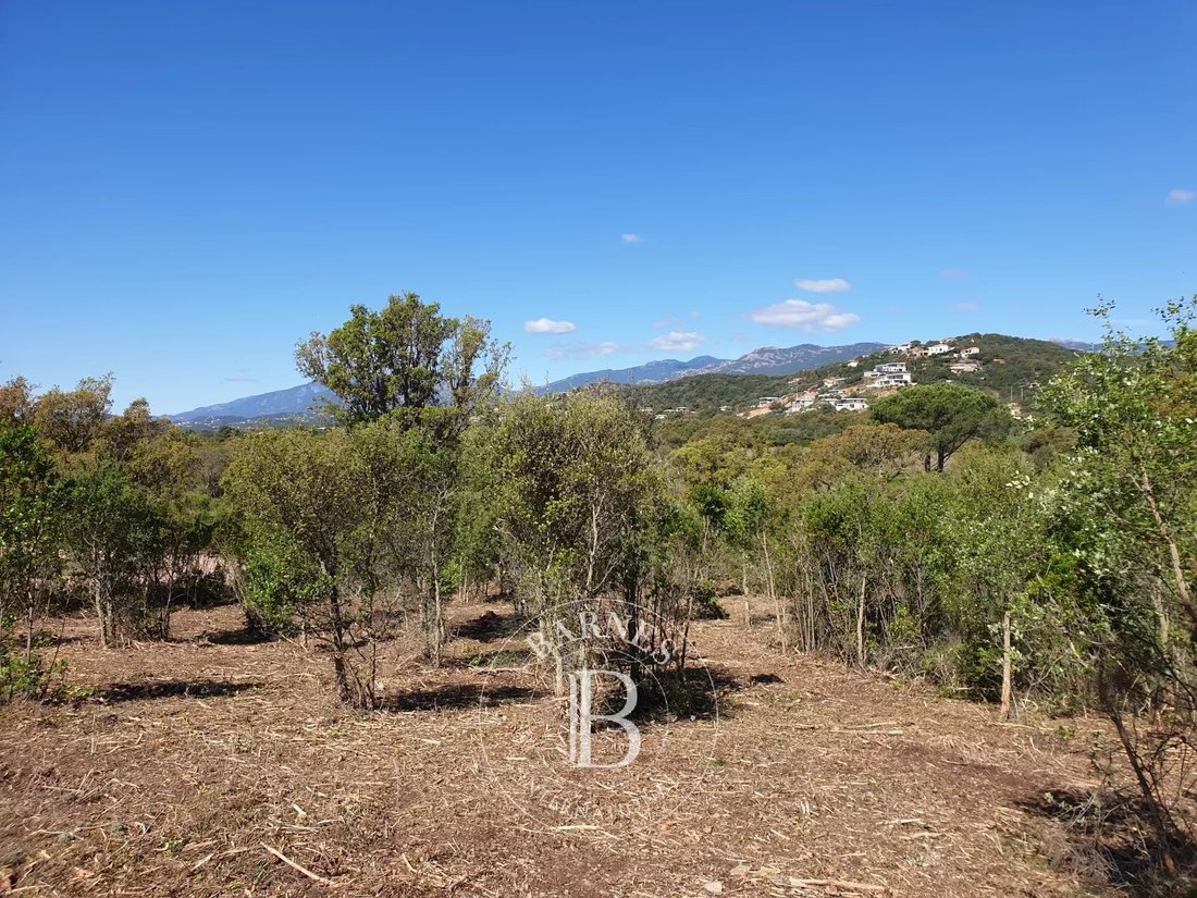 Land in Sainte-Lucie-de-Porto-Vecchio, Corsica, France 3 - 13746460