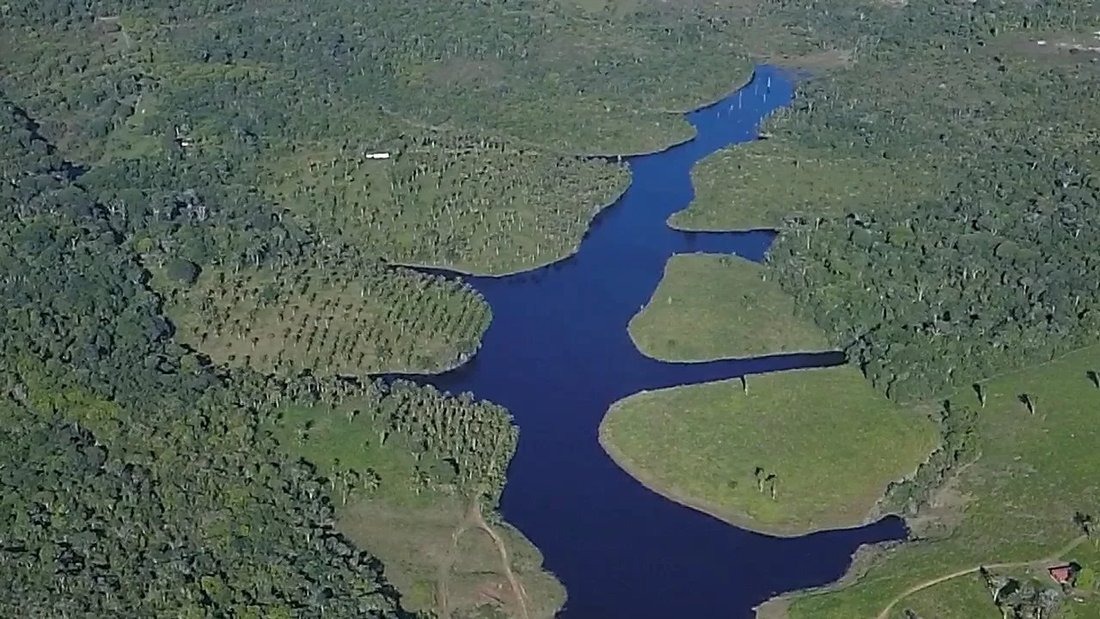 Farm Ranch in Itacaré, State of Bahia, Brazil 2 - 15178772