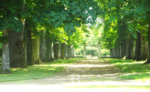 Château Avallon 1500.0 Sqm 25 Bedrooms