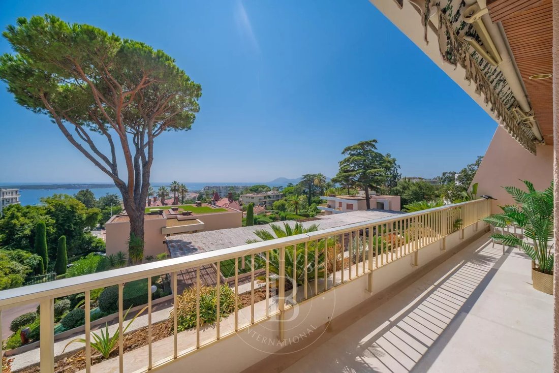Apartment in La Californie, Cannes, France 1 - 14611677