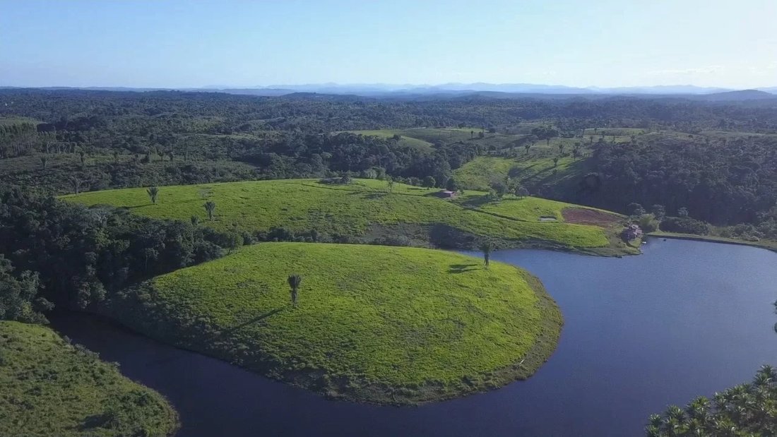 Farm Ranch in Itacaré, State of Bahia, Brazil 3 - 15178772